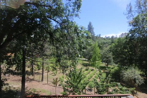 1220 Pinecroft Rd, Colfax, CA 95713 photo 55