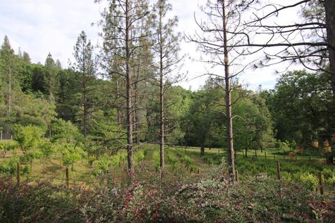 1220 Pinecroft Rd, Colfax, CA 95713 photo 14