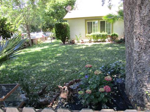 201 Price Dr, Modesto, CA 95351 photo 3