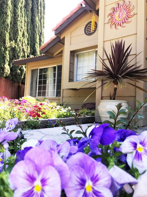 1405 October Way, Modesto, CA 95358 photo 3
