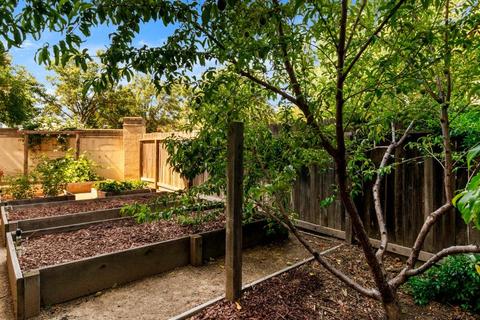 3302 Via Verde Ter, Davis, CA 95618 photo 34