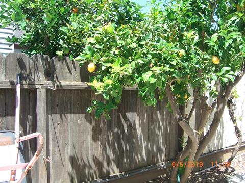 2005 Dorset Ln, Modesto, CA 95355 photo 51
