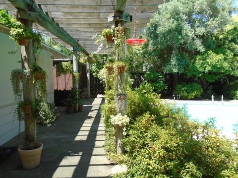 921 Yale Ave, Modesto, CA 95350 photo 23