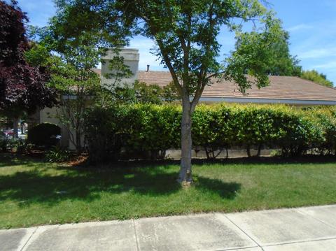 2408 Alexia Way, Modesto, CA 95355 photo 6