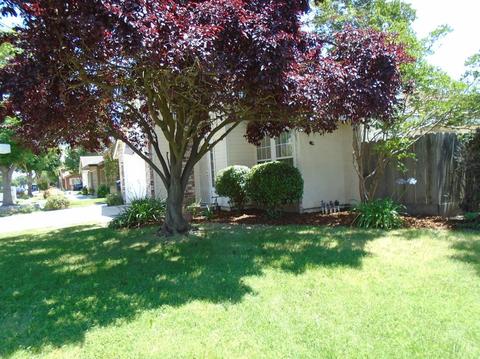 2408 Alexia Way, Modesto, CA 95355 photo 7