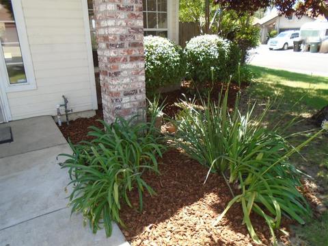 2408 Alexia Way, Modesto, CA 95355 photo 8