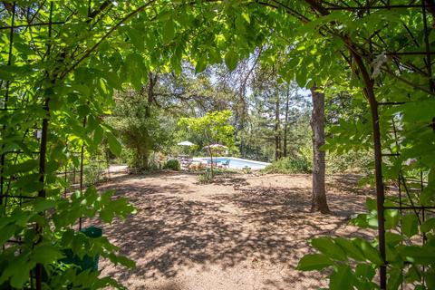2965 Serenity Dr, Placerville, CA 95667 photo 49