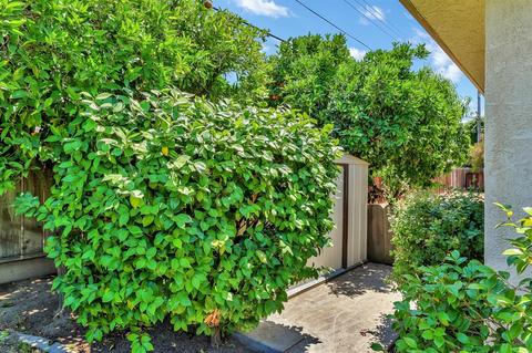 906 Baker Dr, Ripon, CA 95366 photo 33