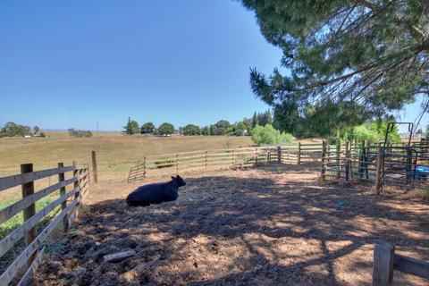 8940 Katena Ln, Wilton, CA 95693 photo 36