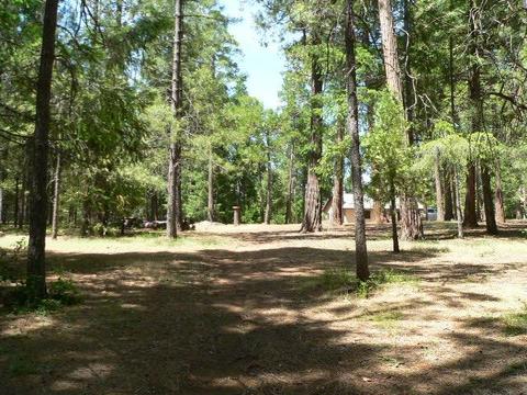 23140 Lark Ln, Volcano, CA 95689 photo 62
