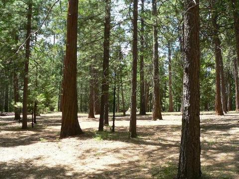 23140 Lark Ln, Volcano, CA 95689 photo 60