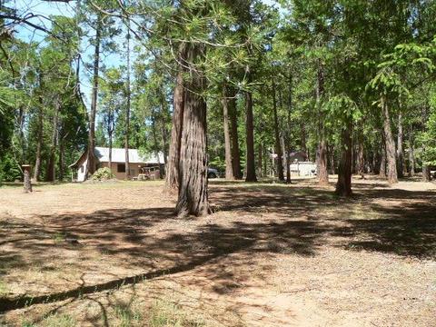 23140 Lark Ln, Volcano, CA 95689 photo 61