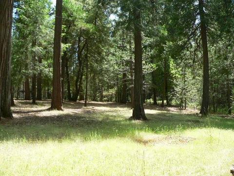 23140 Lark Ln, Volcano, CA 95689 photo 54