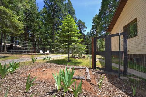 23140 Lark Ln, Volcano, CA 95689 photo 48