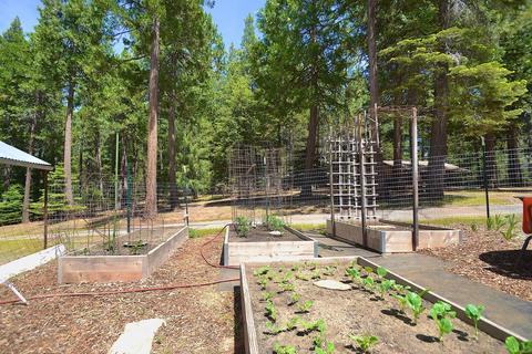 23140 Lark Ln, Volcano, CA 95689 photo 37