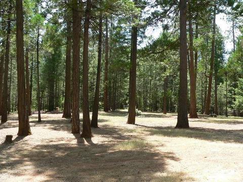 23140 Lark Ln, Volcano, CA 95689 photo 59