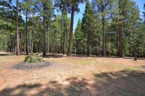 23140 Lark Ln, Volcano, CA 95689 photo 50