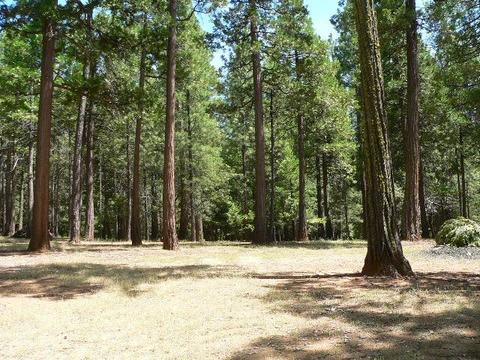 23140 Lark Ln, Volcano, CA 95689 photo 58