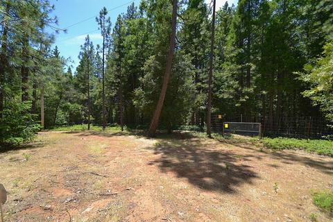 23140 Lark Ln, Volcano, CA 95689 photo 66