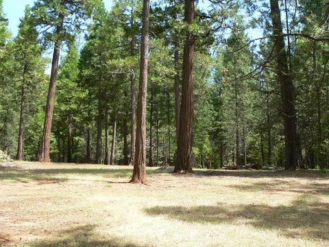 23140 Lark Ln, Volcano, CA 95689 photo 52