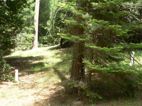 23140 Lark Ln, Volcano, CA 95689 photo 56