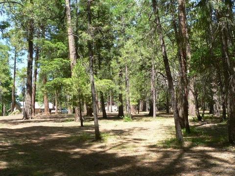 23140 Lark Ln, Volcano, CA 95689 photo 63