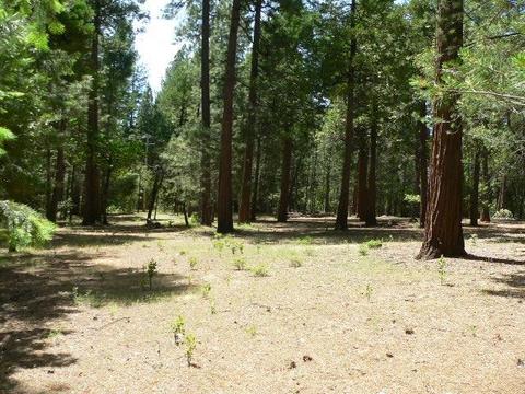 23140 Lark Ln, Volcano, CA 95689 photo 64