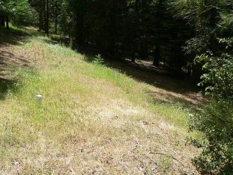 23140 Lark Ln, Volcano, CA 95689 photo 57