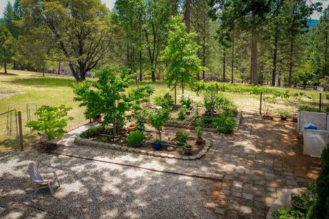 16954 Hangtree Rd, Grass Valley, CA 95949 photo 58