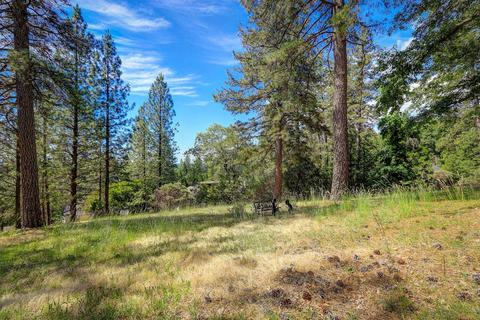 16954 Hangtree Rd, Grass Valley, CA 95949 photo 64