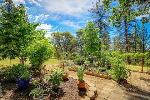 16954 Hangtree Rd, Grass Valley, CA 95949 photo 47