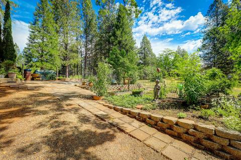16954 Hangtree Rd, Grass Valley, CA 95949 photo 48