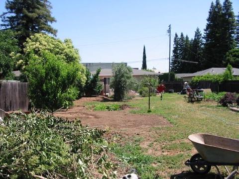 18887 Grace St, Linden, CA 95236 photo 23