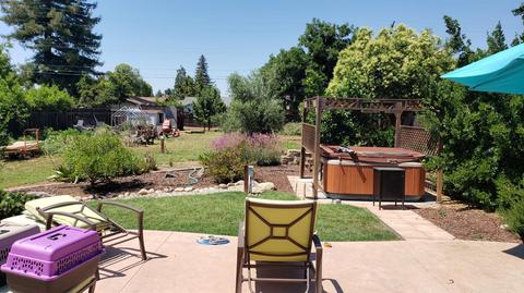 18887 Grace St, Linden, CA 95236 photo 19