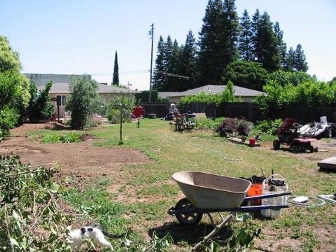 18887 Grace St, Linden, CA 95236 photo 22