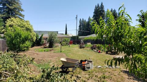 18887 Grace St, Linden, CA 95236 photo 21