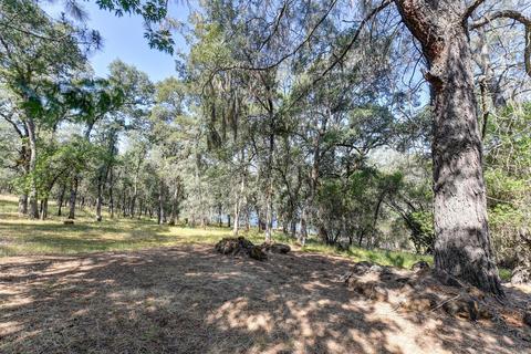 1140 Large Oak Dr, Placerville, CA 95667 photo 13