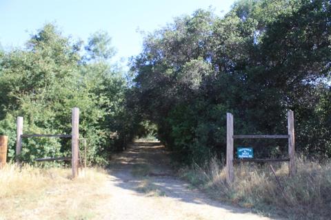 3633 Helisma Rd, Burson, CA 95225 photo 5