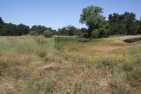 3633 Helisma Rd, Burson, CA 95225 photo 38