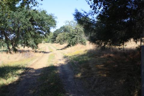 3633 Helisma Rd, Burson, CA 95225 photo 3