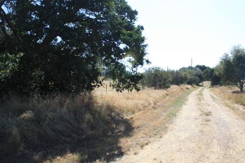 3633 Helisma Rd, Burson, CA 95225 photo 6