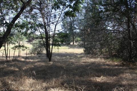 3633 Helisma Rd, Burson, CA 95225 photo 31
