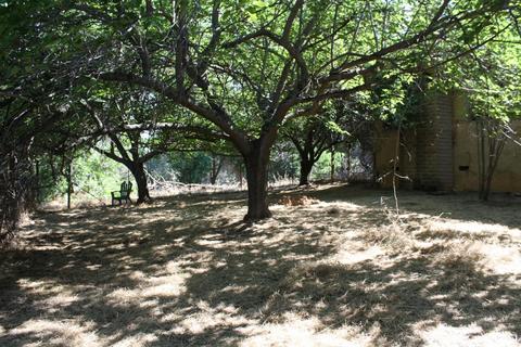 3633 Helisma Rd, Burson, CA 95225 photo 44