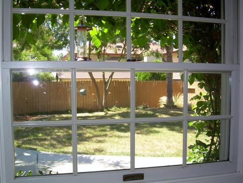 2710 Albany Ave, Davis, CA 95618 photo 13
