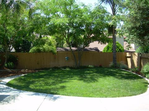 2710 Albany Ave, Davis, CA 95618 photo 25