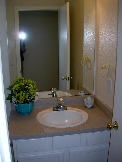 2710 Albany Ave, Davis, CA 95618 photo 15
