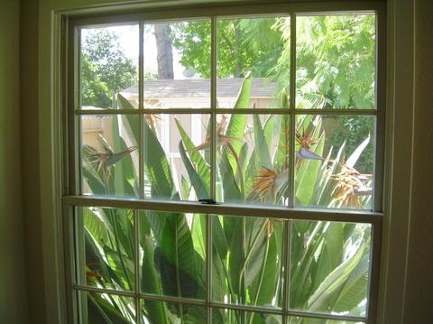 2710 Albany Ave, Davis, CA 95618 photo 22