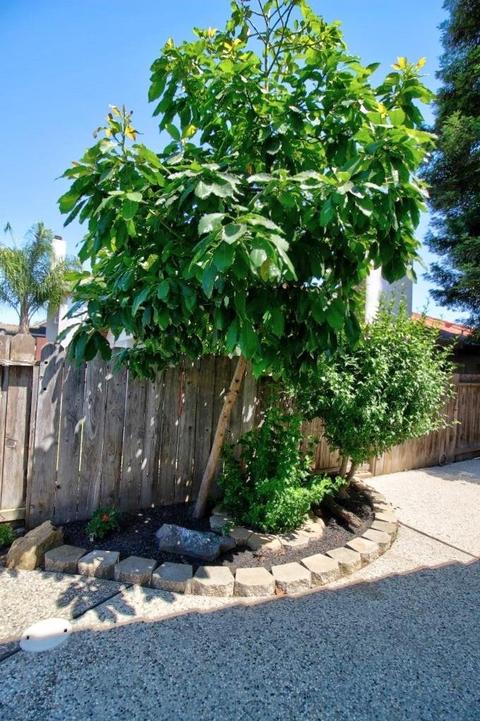 904 N Rosemore Ave, Modesto, CA 95358 photo 79