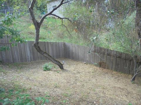 2661 Morrene Dr, Placerville, CA 95667 photo 20