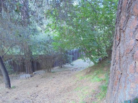 2661 Morrene Dr, Placerville, CA 95667 photo 19